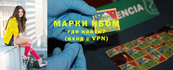 сатива Аркадак