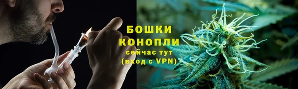 сатива Аркадак