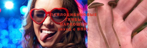 гашик Балабаново