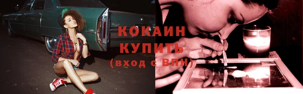 ПСИЛОЦИБИНОВЫЕ ГРИБЫ Баксан