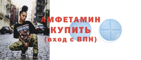 сатива Аркадак