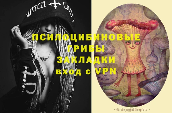 тгк Армянск