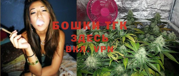 сатива Аркадак