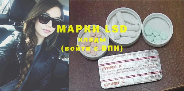 ПСИЛОЦИБИНОВЫЕ ГРИБЫ Баксан
