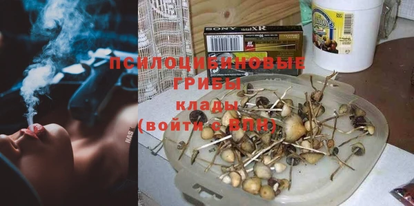 сатива Аркадак