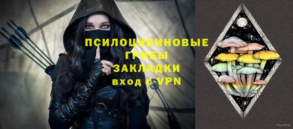 ПСИЛОЦИБИНОВЫЕ ГРИБЫ Баксан