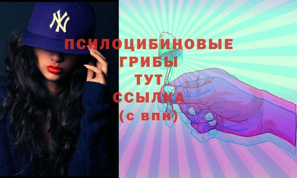 тгк Армянск