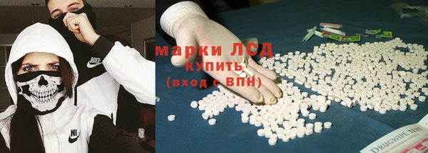 ПСИЛОЦИБИНОВЫЕ ГРИБЫ Баксан